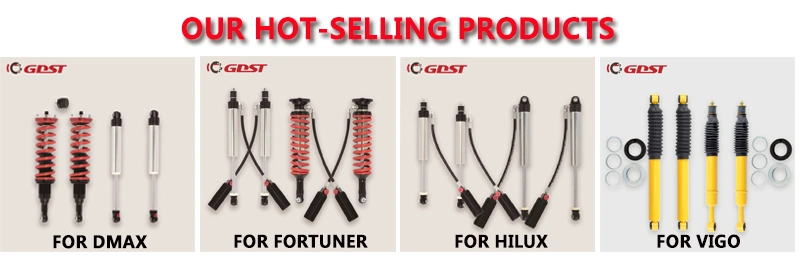 Factoyr Supplier Gdst Nitrogen Gas Adjustable Shock Absorber Suspension Lift Kit for Ford F150 2014